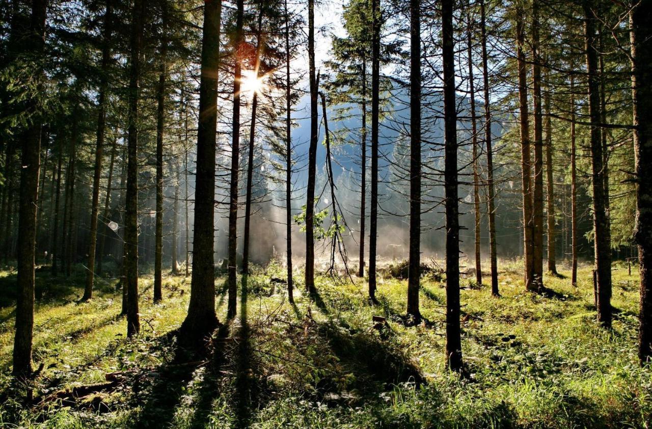 Ferienwohnung Pyhrgasblick Rosenau am Hengstpass Экстерьер фото