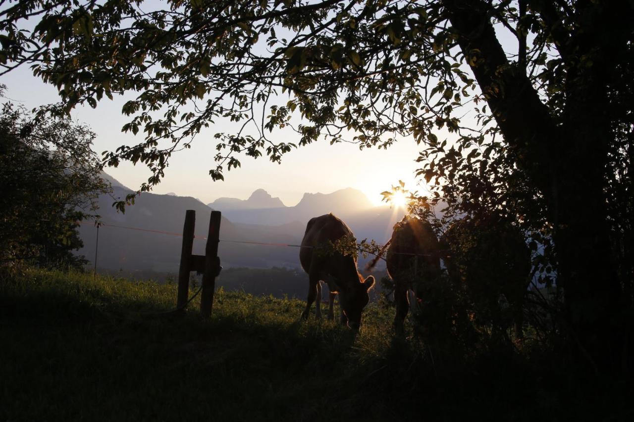Ferienwohnung Pyhrgasblick Rosenau am Hengstpass Экстерьер фото